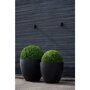 Pottery Pots Natural Jumbo Jesslyn ronde plantenbak zwart detail